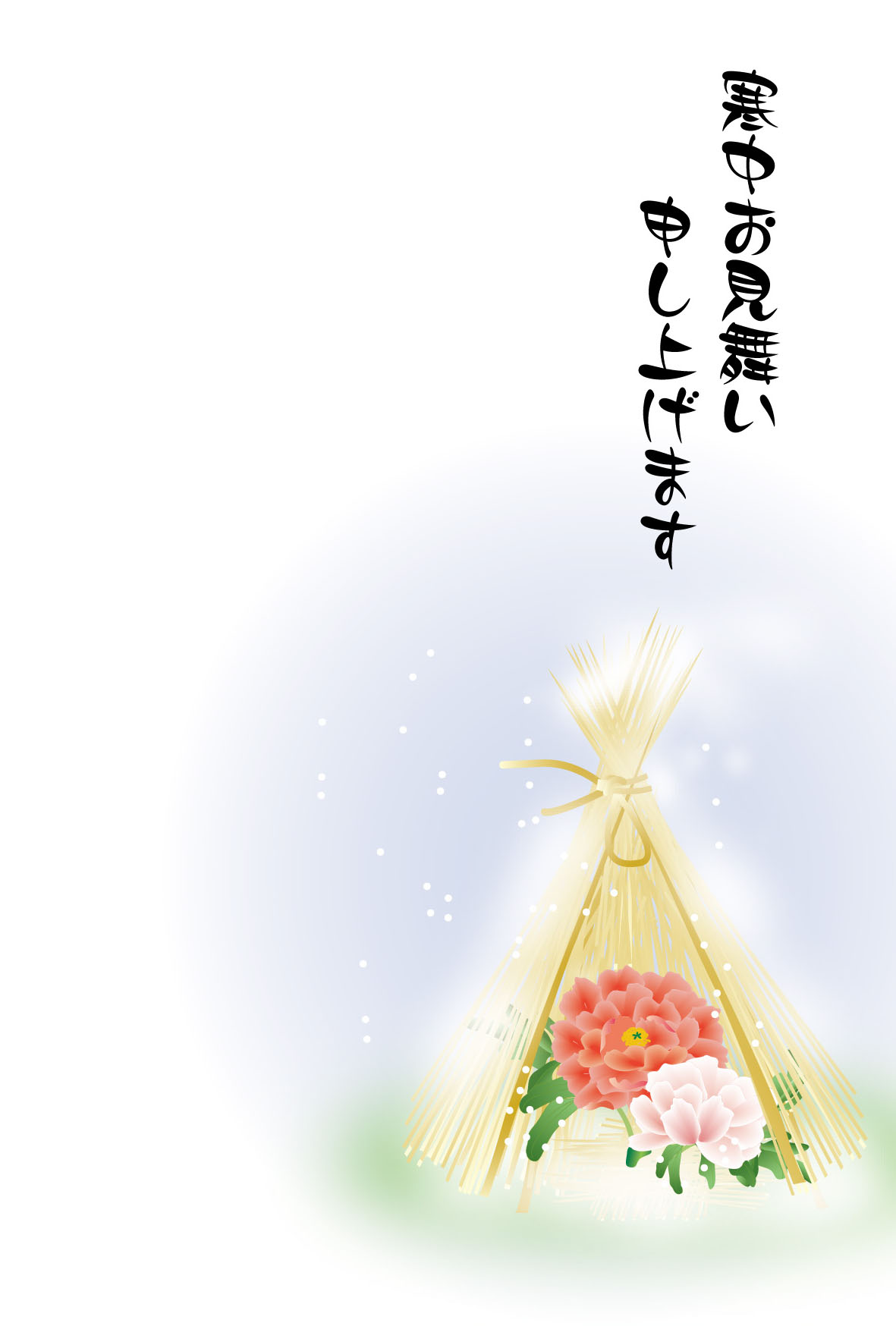 r͂@p摜