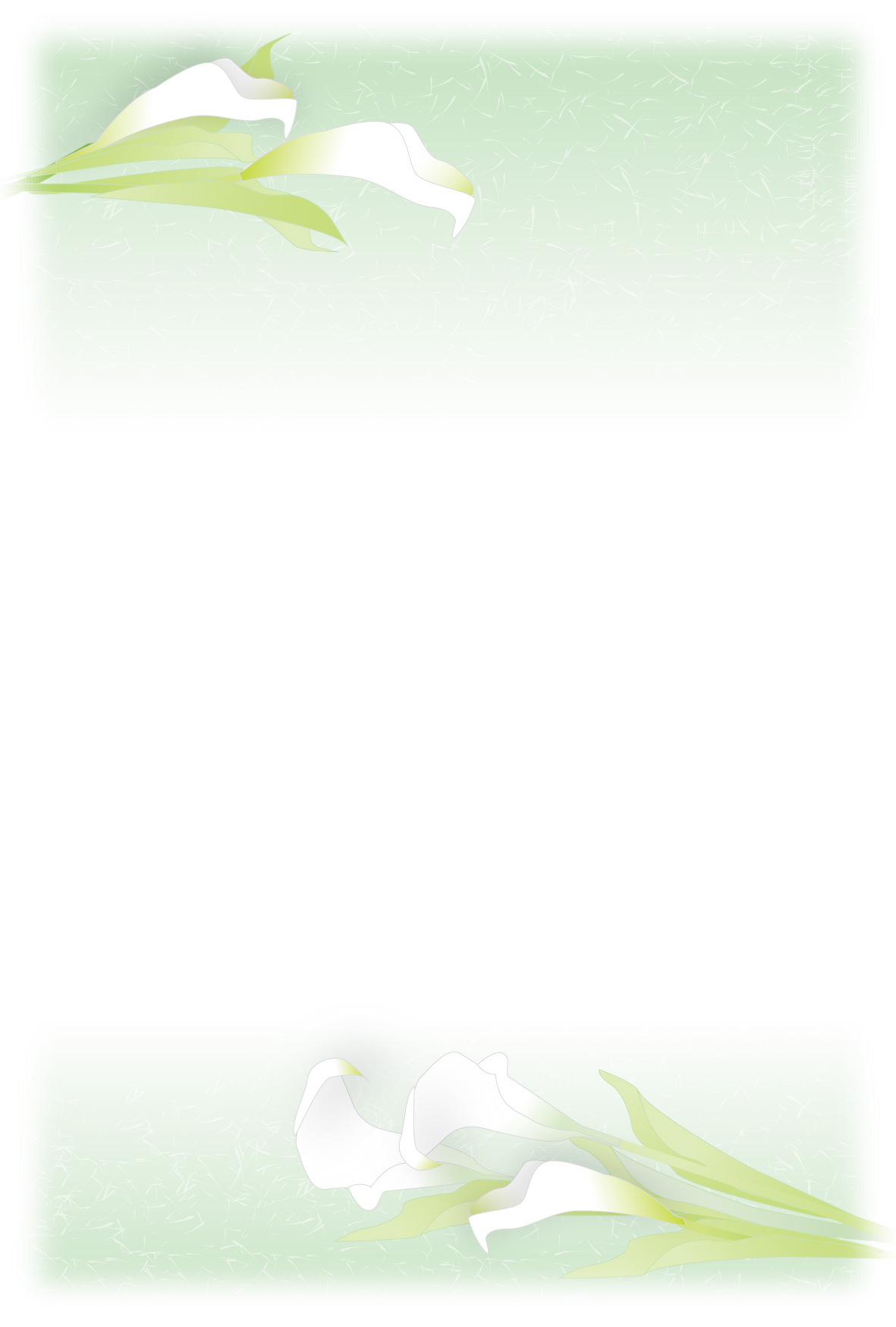 r͂@p摜
