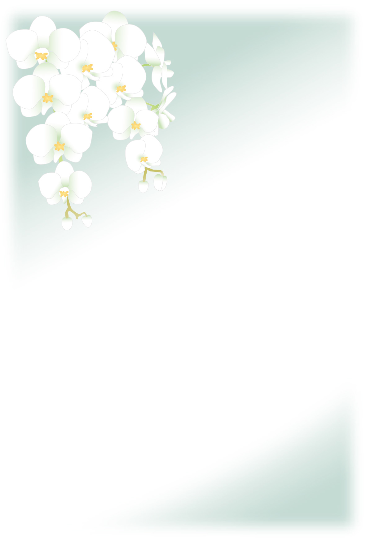 r͂@p摜