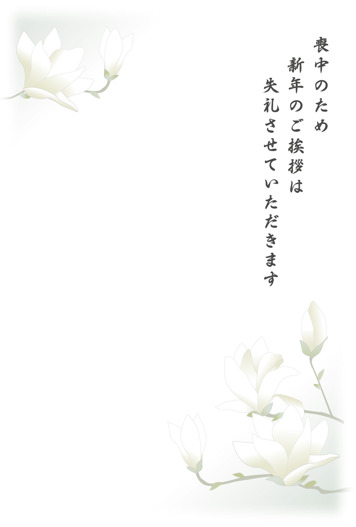 r͂@p摜