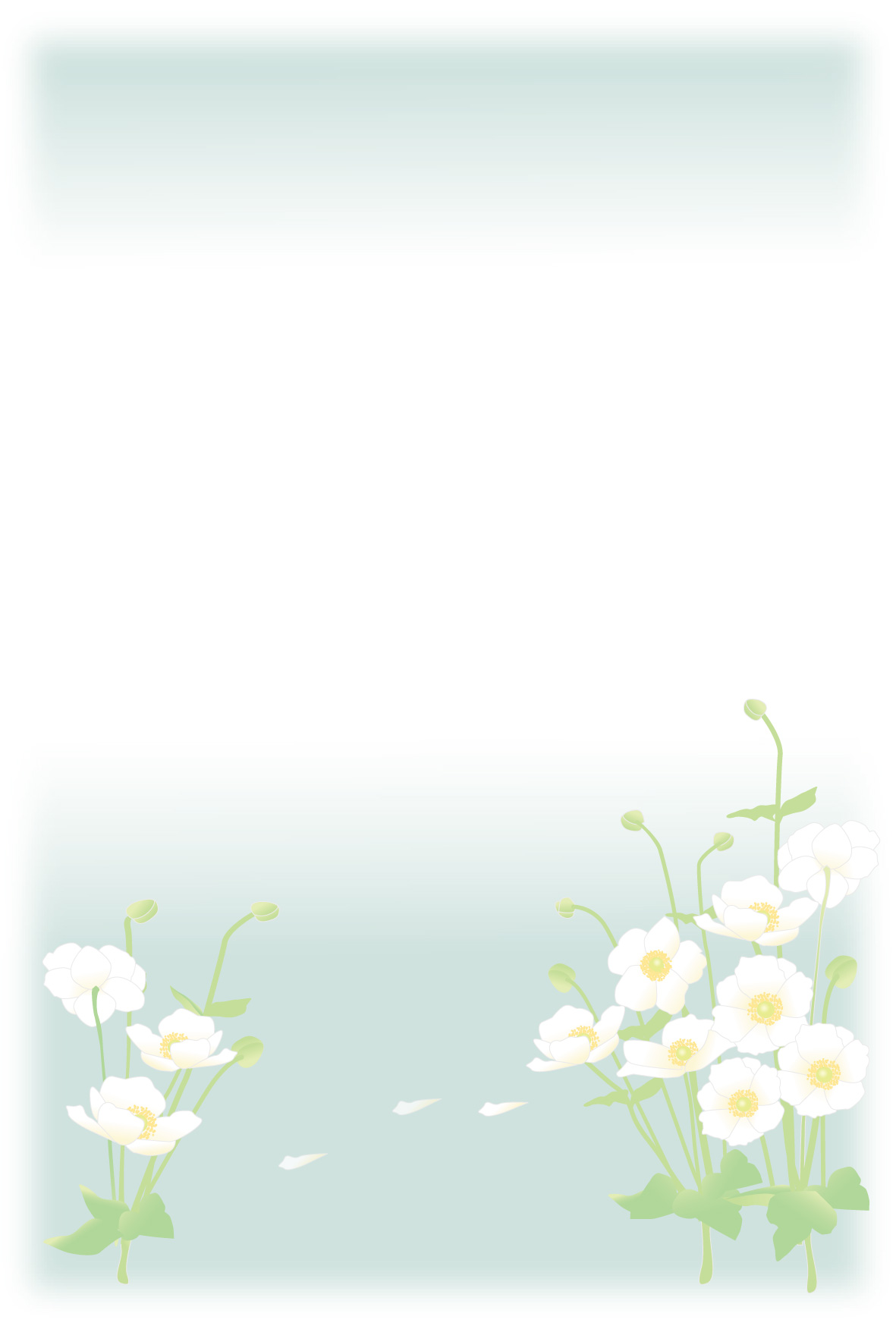 r͂@p摜