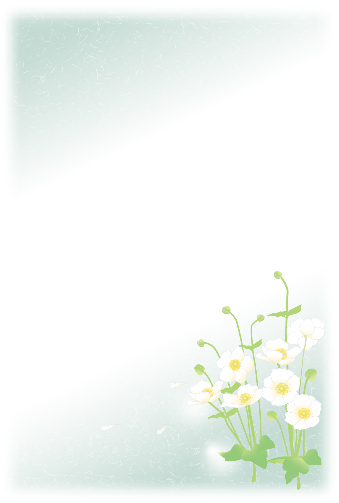 r͂@p摜